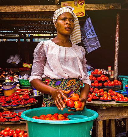 Inara Consult - Invest in Africa Agricultural Industry